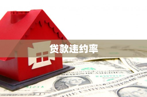 和县贷款违约率