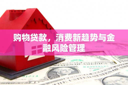 和县购物贷款，消费新趋势与金融风险管理