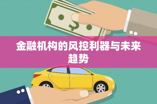 和县金融机构的风控利器与未来趋势