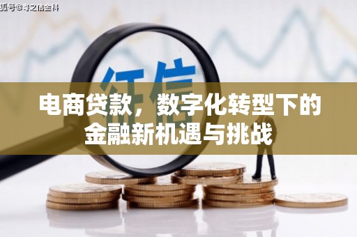 和县电商贷款，数字化转型下的金融新机遇与挑战