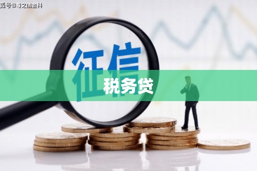 和县税务贷