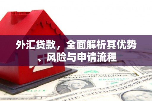 和县外汇贷款，全面解析其优势、风险与申请流程