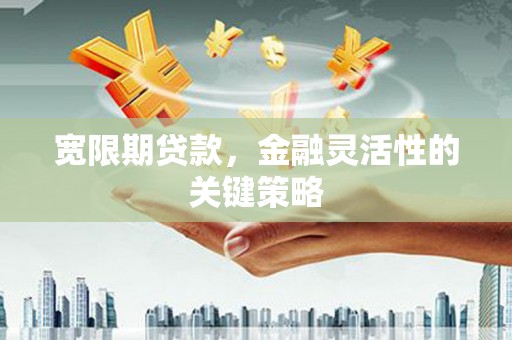 和县宽限期贷款，金融灵活性的关键策略