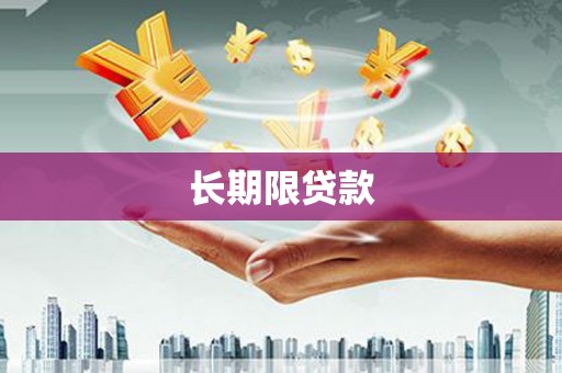 和县长期限贷款