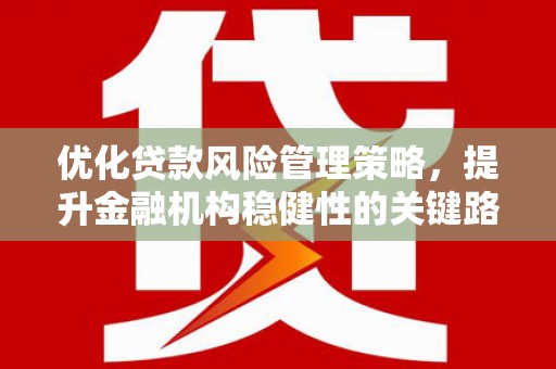和县优化贷款风险管理策略，提升金融机构稳健性的关键路径
