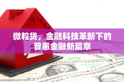 和县微粒贷，金融科技革新下的普惠金融新篇章