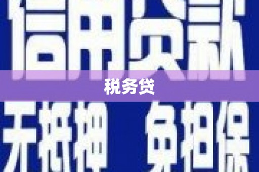 和县税务贷