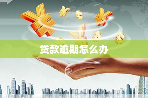 和县贷款逾期怎么办