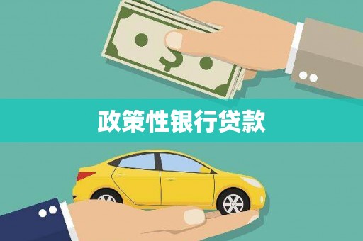 和县政策性银行贷款
