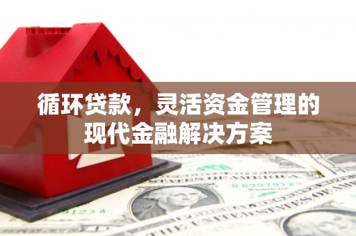 和县循环贷款，灵活资金管理的现代金融解决方案