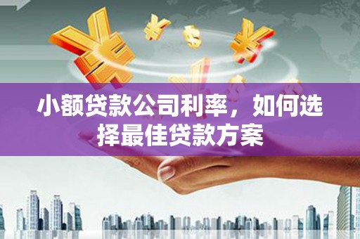 和县小额贷款公司利率，如何选择最佳贷款方案