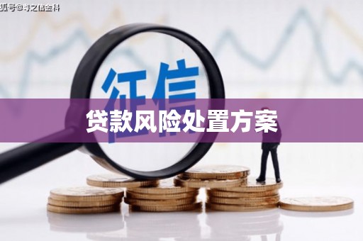 和县贷款风险处置方案
