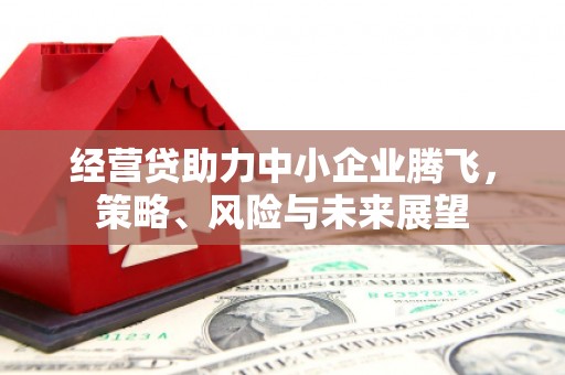 和县经营贷助力中小企业腾飞，策略、风险与未来展望