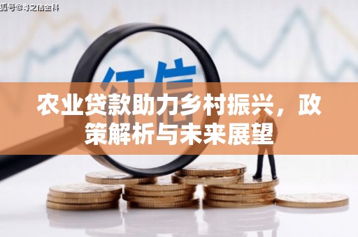 和县农业贷款助力乡村振兴，政策解析与未来展望