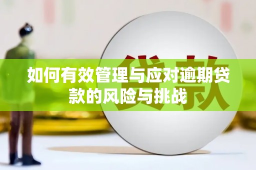 和县如何有效管理与应对逾期贷款的风险与挑战