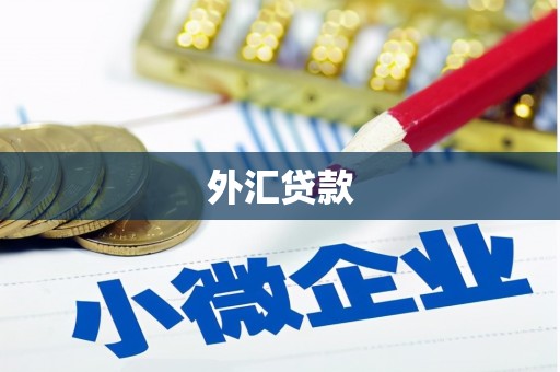 和县外汇贷款