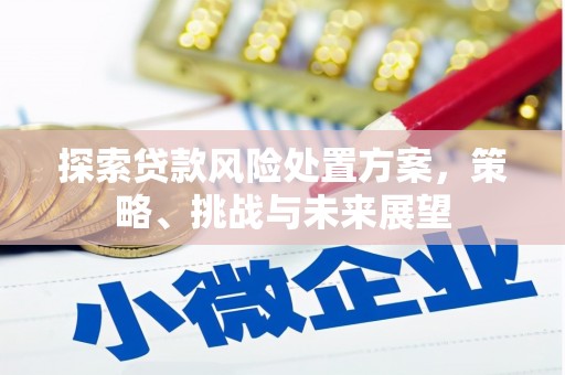 和县探索贷款风险处置方案，策略、挑战与未来展望