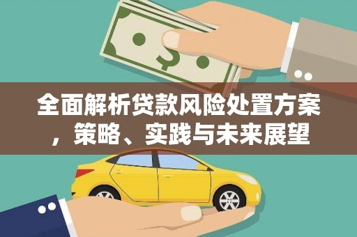 和县全面解析贷款风险处置方案，策略、实践与未来展望