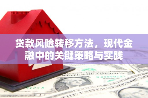 和县贷款风险转移方法，现代金融中的关键策略与实践