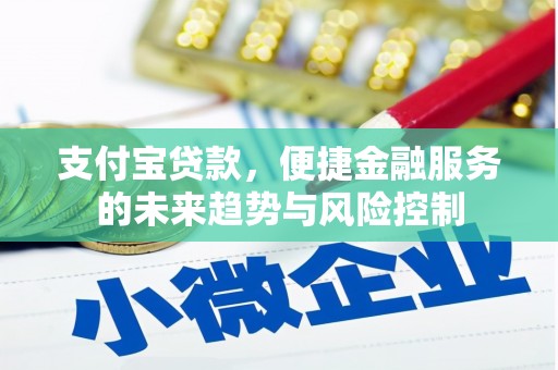 和县支付宝贷款，便捷金融服务的未来趋势与风险控制