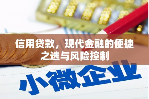 和县信用贷款，现代金融的便捷之选与风险控制