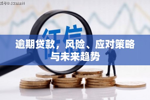 和县逾期贷款，风险、应对策略与未来趋势