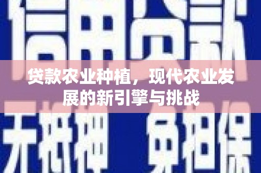 和县贷款农业种植，现代农业发展的新引擎与挑战