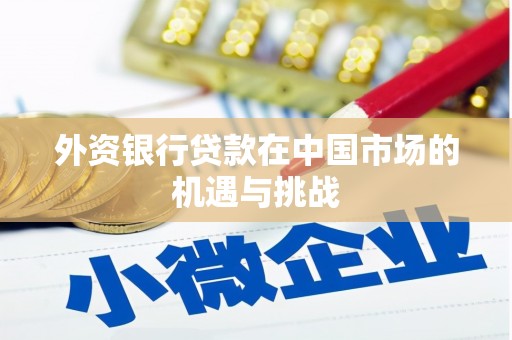 和县外资银行贷款在中国市场的机遇与挑战