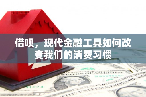 和县借呗，现代金融工具如何改变我们的消费习惯