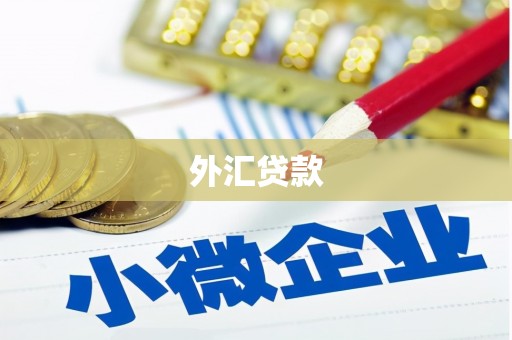 和县外汇贷款