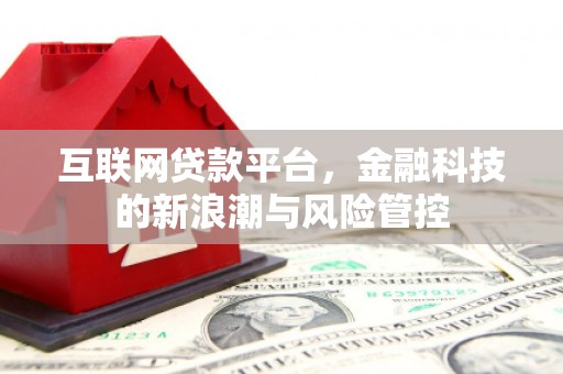 和县互联网贷款平台，金融科技的新浪潮与风险管控