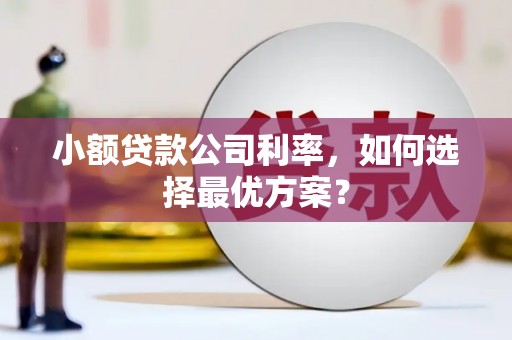 和县小额贷款公司利率，如何选择最优方案？