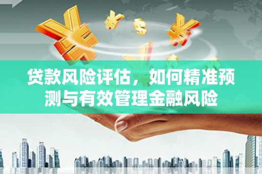 和县贷款风险评估，如何精准预测与有效管理金融风险
