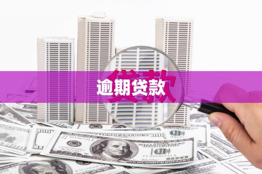 和县逾期贷款