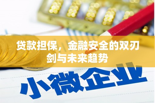 和县贷款担保，金融安全的双刃剑与未来趋势