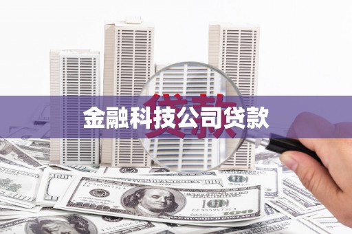 和县金融科技公司贷款