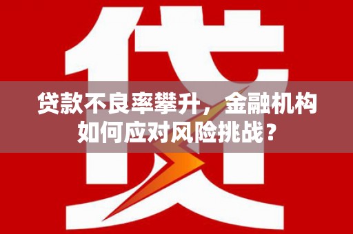 和县贷款不良率攀升，金融机构如何应对风险挑战？
