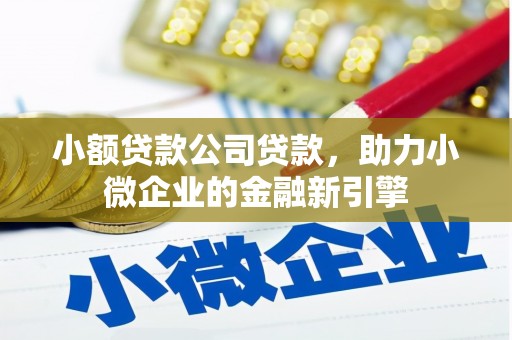 和县小额贷款公司贷款，助力小微企业的金融新引擎