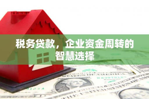 和县税务贷款，企业资金周转的智慧选择