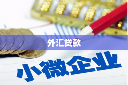 和县外汇贷款