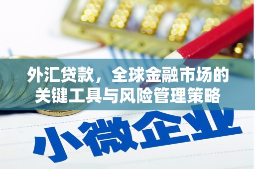 和县外汇贷款，全球金融市场的关键工具与风险管理策略