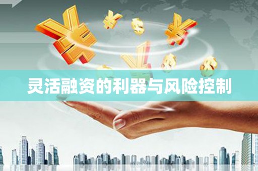 和县灵活融资的利器与风险控制