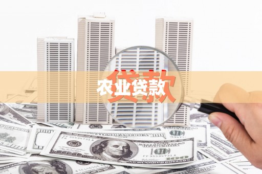 和县农业贷款
