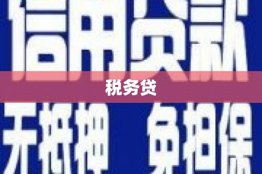 和县税务贷