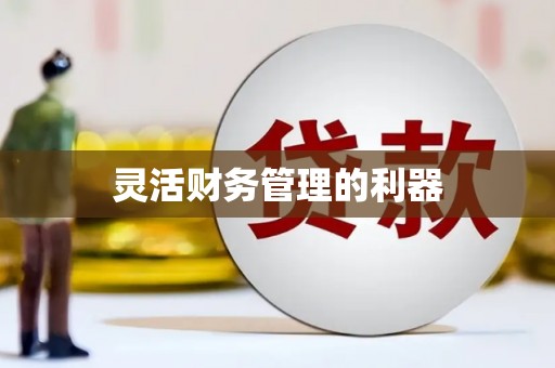 和县灵活财务管理的利器