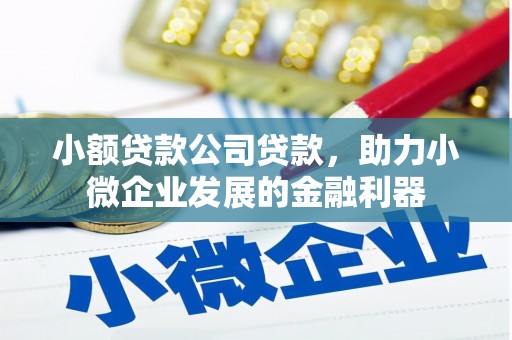 和县小额贷款公司贷款，助力小微企业发展的金融利器