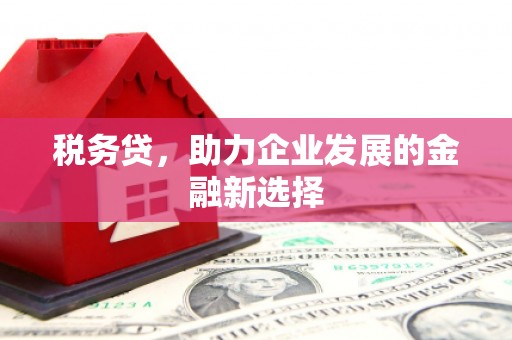 和县税务贷，助力企业发展的金融新选择