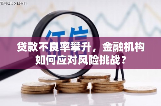 和县贷款不良率攀升，金融机构如何应对风险挑战？