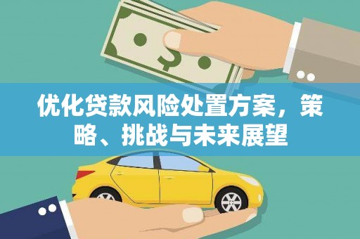 和县优化贷款风险处置方案，策略、挑战与未来展望