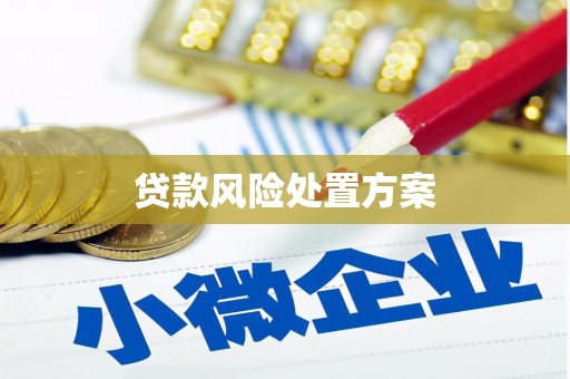 和县贷款风险处置方案